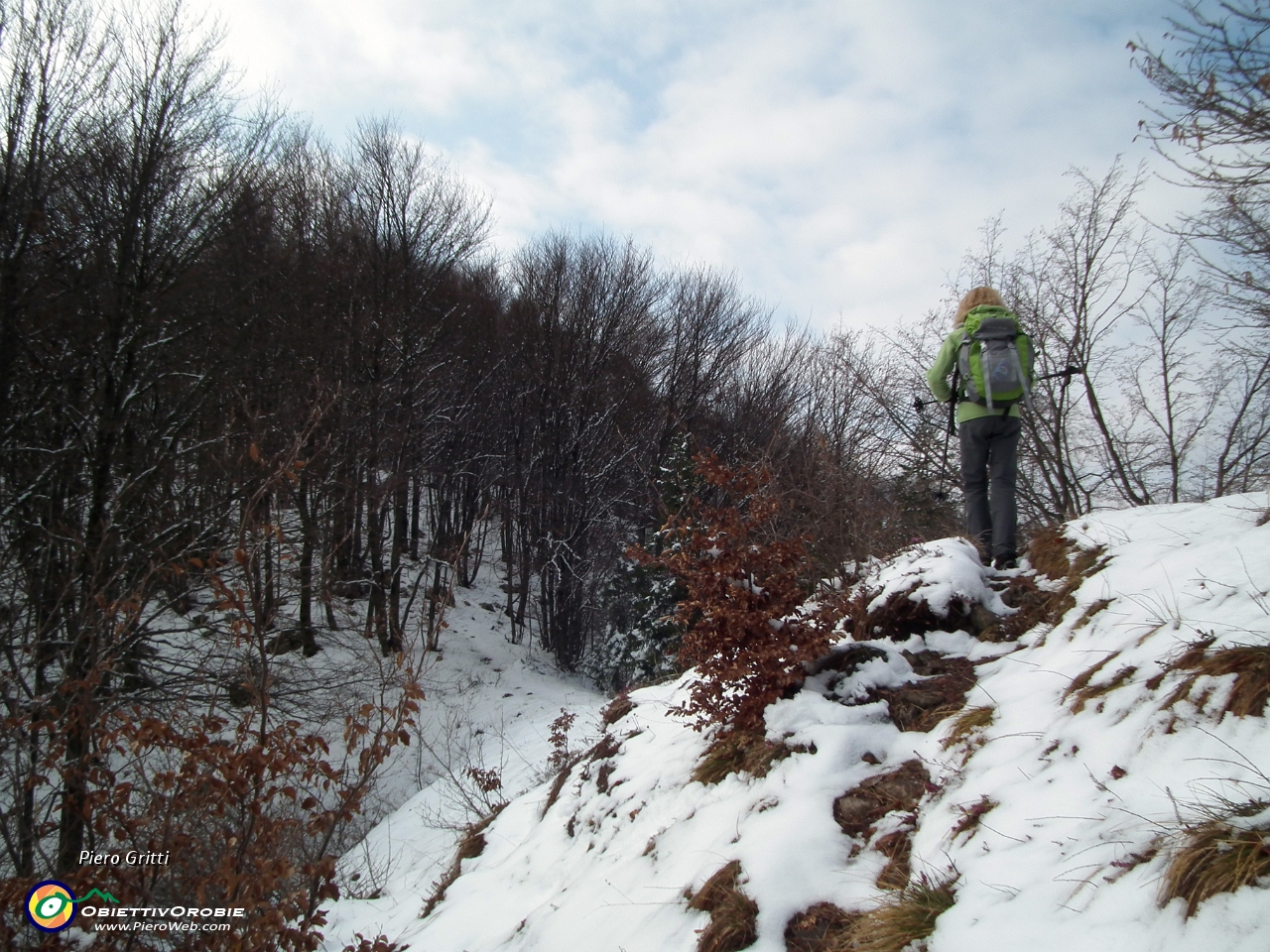 42 Entriamo nel bosco....JPG